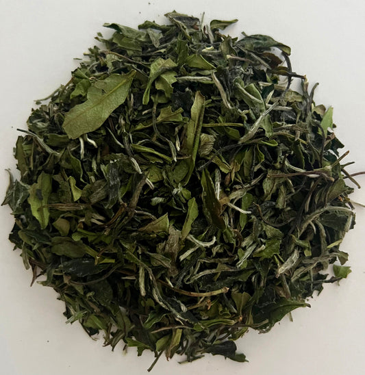 Bai Mu Dan 2023